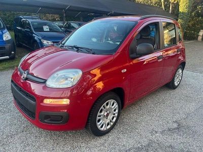 Usata Fiat Panda Red 69 CV (50 kW) 2013 Rosso Berlina