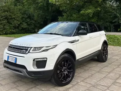 Usata Land Rover Range Rover evoque 150 CV (110 kW) 2016 Bianco SUV
