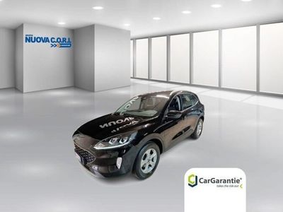 usata Ford Kuga 1.5 1.5 EcoBlue 120 CV 2WD Connect