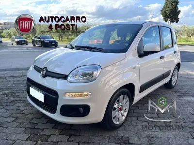 Usata Fiat Panda Easy 75 CV (55 kW) 2013 Bianco Utilitaria