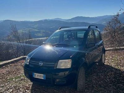 Usata Fiat Panda 4x4 Climbing 60 CV (44 kW) 2006 Utilitaria
