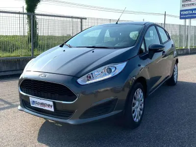 Usata Ford Fiesta Trend 79 CV (58 kW) 2017 Grigio Utilitaria