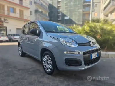 Usata Fiat Panda Easy 69 CV (50 kW) 2019 Grigio Utilitaria