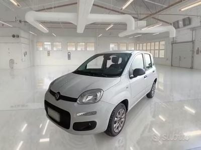 Usata Fiat Panda Easy 69 CV (50 kW) 2020 Bianco Utilitaria