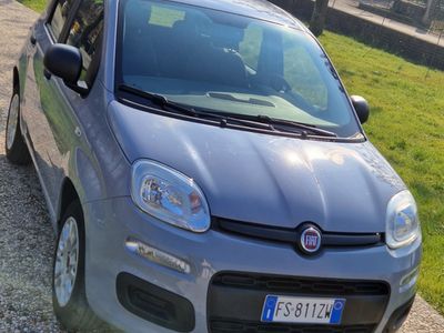 usata Fiat Panda 3ª serie - 2019