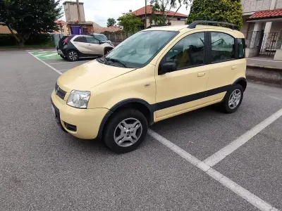 Usata Fiat Panda 4x4 2005 Giallo Utilitaria