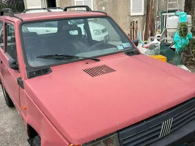 Usata Fiat Panda 4x4