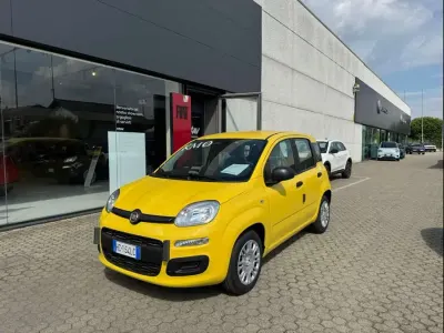 Nuova Fiat Panda Icon 65 CV (47 kW) 2026 Giallo sole (pastello) Utilitaria
