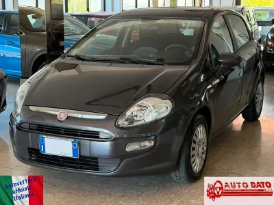 Usata Fiat Punto Evo Dynamic 65 CV (47 kW) 2010 Grigio Utilitaria
