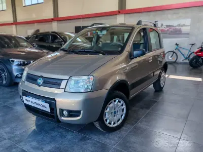 Usata Fiat Panda 4x4 Climbing 60 CV (44 kW) 2007 Beige Utilitaria