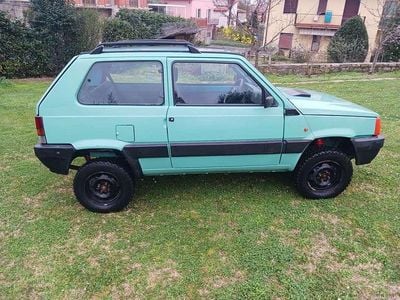 Usata Fiat Panda 4x4 Trekking 50 CV (36 kW) 2002 Utilitaria
