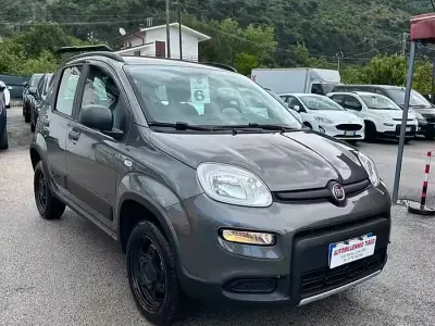 Usata Fiat Panda Cross Cross 85 CV (62 kW) 2022 Grigio Utilitaria
