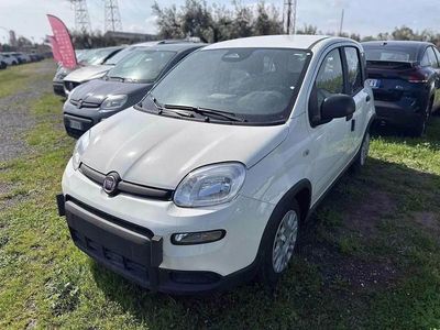 Nuova Fiat Panda Icon 70 CV (51 kW) 2025 Bianco Utilitaria