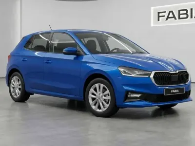 Usata Skoda Fabia