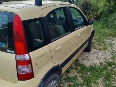 Usata Fiat Panda 4x4 Climbing 60 CV (44 kW) 2007 Giallo Utilitaria