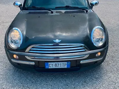 Usata Mini One D