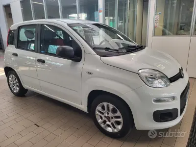 Usata Fiat Panda Young 69 CV (50 kW) 2015 Bianco Utilitaria