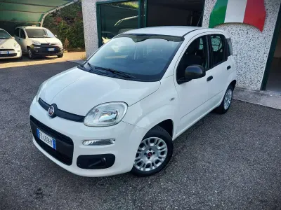 Usata Fiat Panda 69 CV (50 kW) 2019 Other Utilitaria