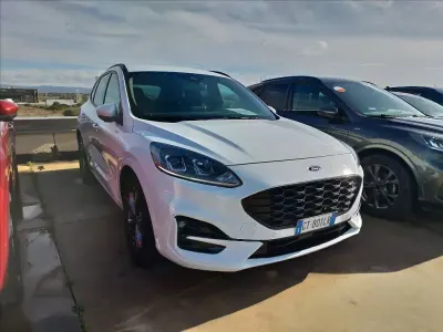Usata Ford Kuga ST-Line X 190 CV (139 kW) 2022 Bianco SUV