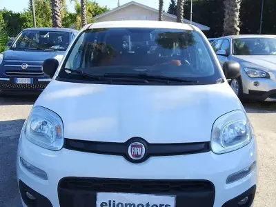 Usata Fiat Panda Easy 95 CV (69 kW) 2016 Bianco Utilitaria