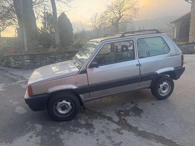 Usata Fiat Panda 4x4 Trekking 54 CV (39 kW) 1999 Argento Utilitaria