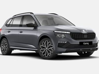 usata Skoda Kamiq 1.0 tsi black dots 115cv