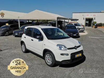 Usata Fiat Panda