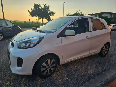 Usata Kia Picanto 67 CV (49 kW) 2017 Bianco Utilitaria