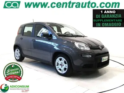 Usata Fiat Panda City Life 69 CV (50 kW) 2023 Grigio Utilitaria