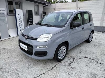 Begagnad Fiat Panda 69 HK (50 kW) 2021 Grå Halvkombi