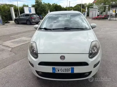 Usata Fiat Punto Lounge 70 CV (51 kW) 2014 Bianco Utilitaria