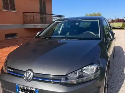 Usata VW Golf VII Executive 130 CV (95 kW) 2019 Berlina