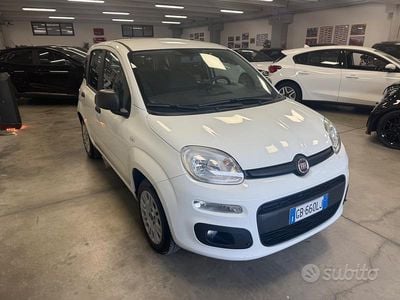 Usata Fiat Panda Lounge 69 CV (50 kW) 2020 Bianco Utilitaria