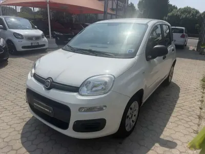 Usata Fiat Panda Easy 69 CV (50 kW) 2019 Bianco Utilitaria