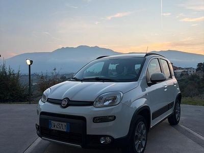 Usata Fiat Panda 4x4 75 CV (55 kW) 2014 Bianco Utilitaria