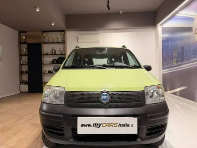 Usado Fiat Panda 4x4 69 HP (50 kW) 2007 Verde Citadino