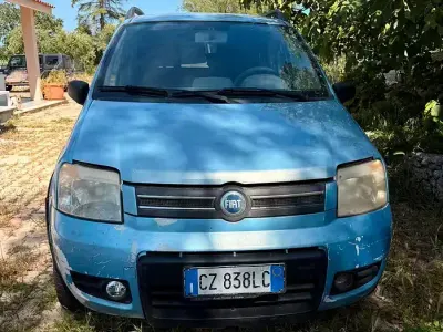 Usata Fiat Panda 4x4