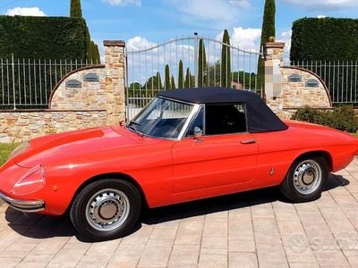 Usata Alfa Romeo Spider 1960 Rosso Cabrio