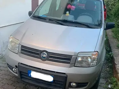 Usata Fiat Panda 4x4 Climbing 69 CV (50 kW) 2005 Grigio Utilitaria