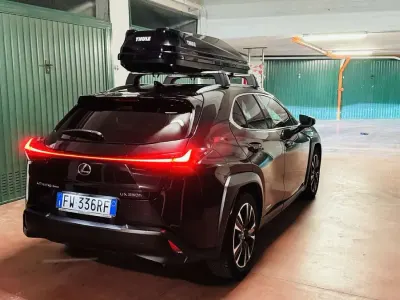 Usata Lexus UX 250h