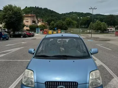 Usata Kia Picanto 75 CV (55 kW) 2006 Grigio Utilitaria