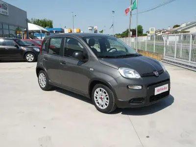 Usata Fiat Panda S 70 CV (51 kW) 2023 Grigio Utilitaria