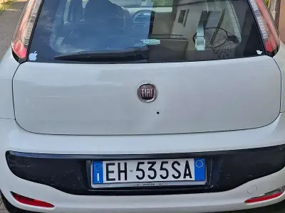 Usata Fiat Punto Evo