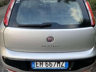 Usata Fiat Punto Evo Active 65 CV (47 kW) 2011 Utilitaria