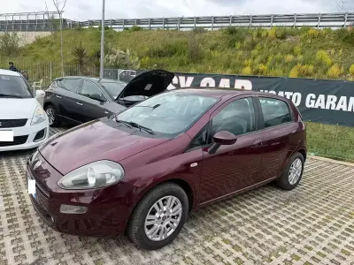 Usata Fiat Punto Lounge 95 CV (69 kW) 2012 Viola Utilitaria