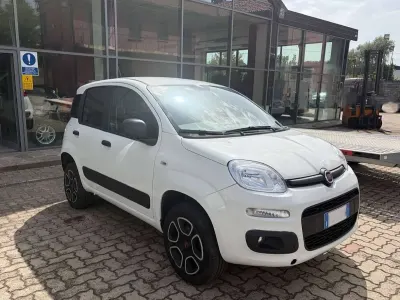 Usata Fiat Panda 4x4