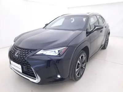 Usata Lexus UX Executive Line 184 CV (135 kW) 2021 Grigio SUV