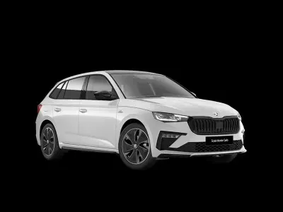 Usata Skoda Scala