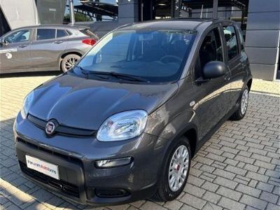 usata Fiat Panda Cross 1.0 FireFly S&S Hybrid City nuovo