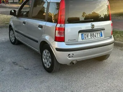 Usata Fiat Panda 60 CV (44 kW) 2009 Utilitaria